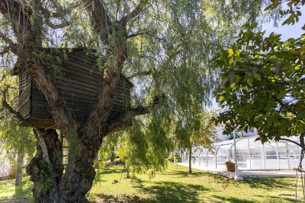 Alhaurín de la Torre Villa Tocororo En Pinos De Alhaurin מראה חיצוני תמונה